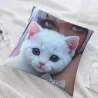 بطانية قطط لطيفة - Okomall