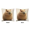Housse de coussin en peluche à motif imprimé recto-verso - 18x18 pouces | OKOMALL