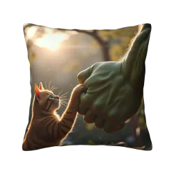 Kissenbezug mit Katzenthema aus Plüsch - OkOmall