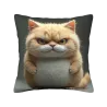 Funda de cojín de felpa de gato súper linda - 18x18 pulgadas | OKOMALL