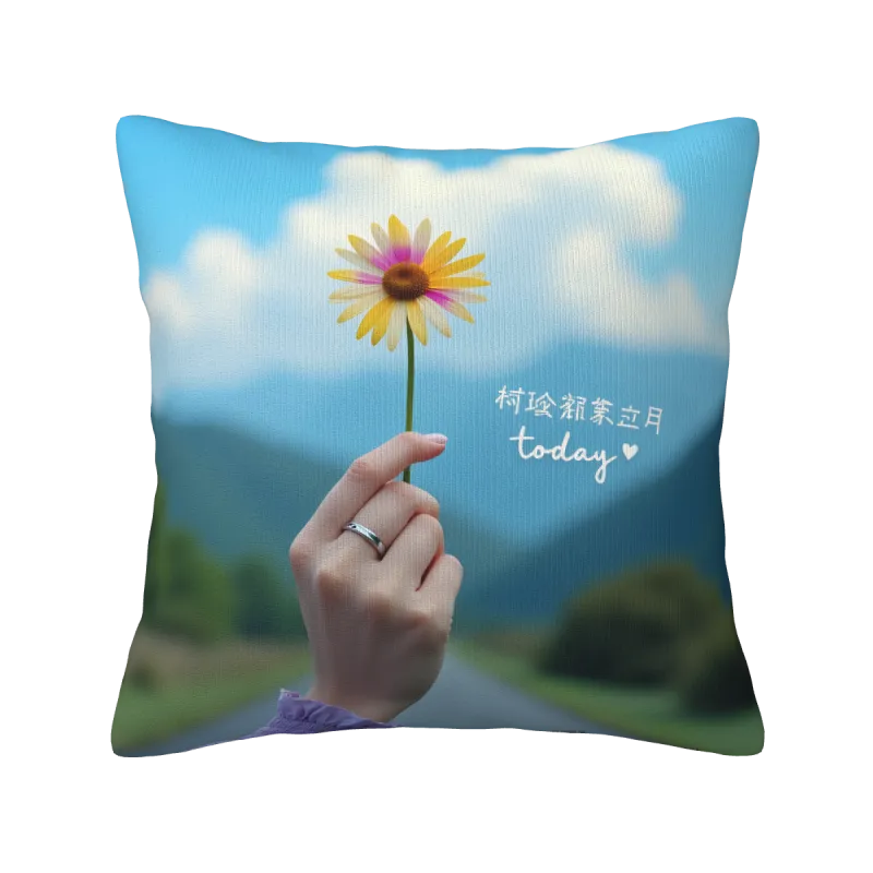 雙面印花毛絨抱枕套 - [圖案名稱] | OKOMALL