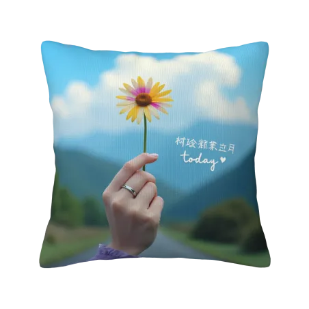 雙面印花毛絨抱枕套 - [圖案名稱] | OKOMALL