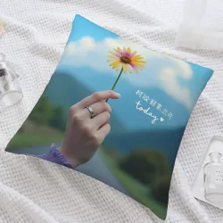 雙面印花毛絨抱枕套 - [圖案名稱] | OKOMALL