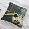 Copri-cuscino in peluche con motivo della Tempesta di Star Wars - Okomall