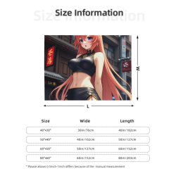 280g橫款動漫圖案法蘭絨毛毯