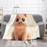 Couverture en flanelle 280g avec motif de cochon adorable imprimé sur une face
