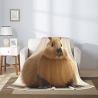 280g vertikale Flanell-Decke mit niedlichem Capybara-Muster