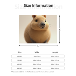 280g Capybara-Fleece-Decke – eine Wahl für Komfort und Wärme