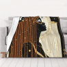 280g Horizontal - style Single - sided Printed Comfortable Flannel Blanket