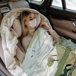280g Vertical Flannel Blanket: Pastoral Landscape Printing, a Choice for Comfort and Warmth