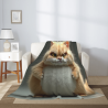 Drap en flanelle de 280g (style vertical) imprimé avec le motif Garfield