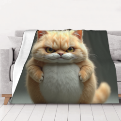 Couverture en flanelle de 280g (horizontale) avec motif Garfield