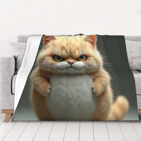 Couverture en flanelle de 280g (horizontale) avec motif Garfield