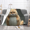 Couverture en flanelle de 280g (horizontale) avec motif Garfield