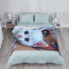 Coperta in flanella da 280g (stile verticale) Motivo di gattino carino