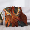 280g Flannel Blanket (Horizontal Style) - Phoenix Pattern, Comfortable and Warm