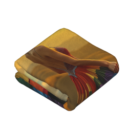 280g Vertical Flannel Blanket (with Exquisite Printing)