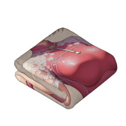 280g вертикальное法兰绒毛毯 (с уникальнымprinting)