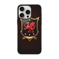 Hülle für iPhone 15/Pro/Max mit Drachen-Schutzdesign - okomall